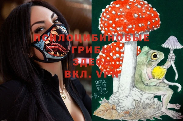 герыч Белокуриха