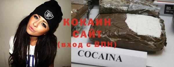 шишки Балахна