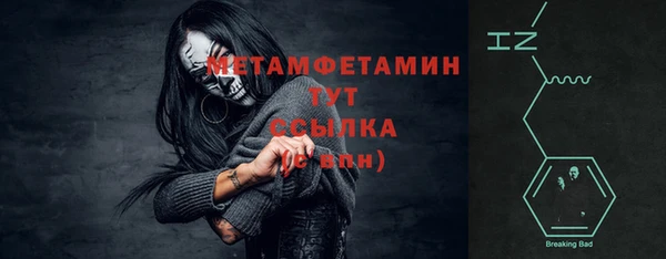 хмурый Пересвет