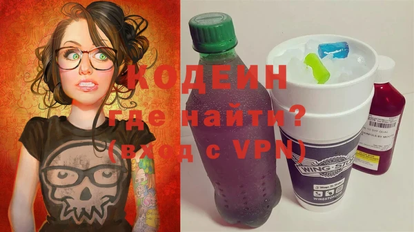 хмурый Пересвет