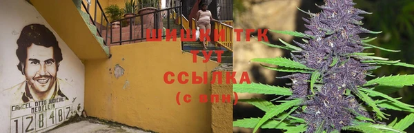 шишки Балахна